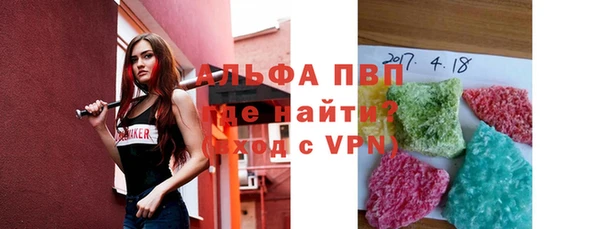 сатива Ельня