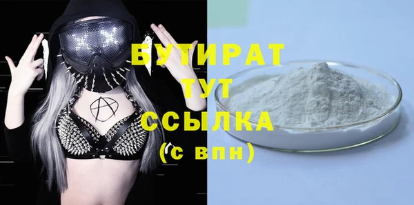 сатива Ельня
