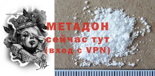 сатива Ельня
