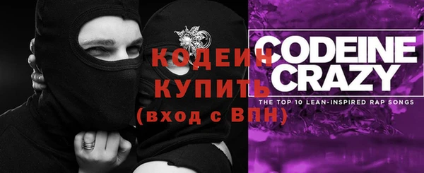 сатива Ельня