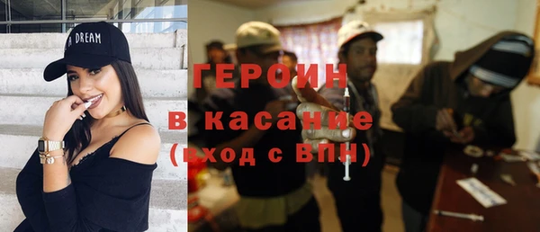 сатива Ельня