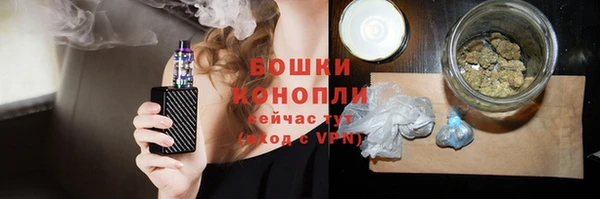 сатива Ельня