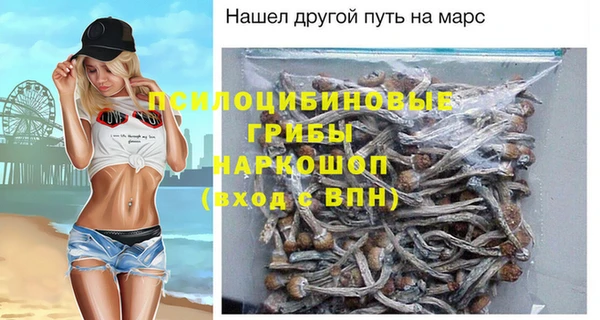 крисы Елизово