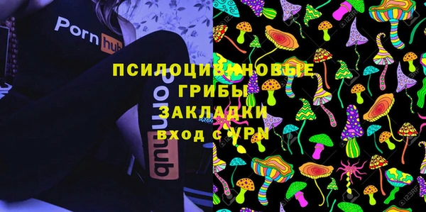 сатива Ельня