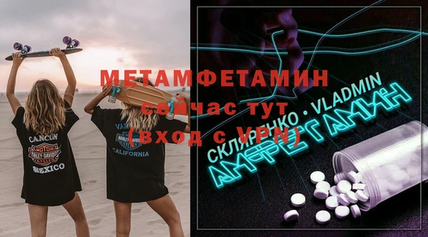 сатива Ельня