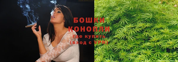 бутират Елабуга