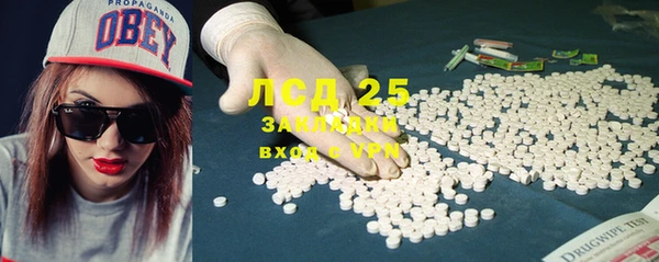 сатива Ельня