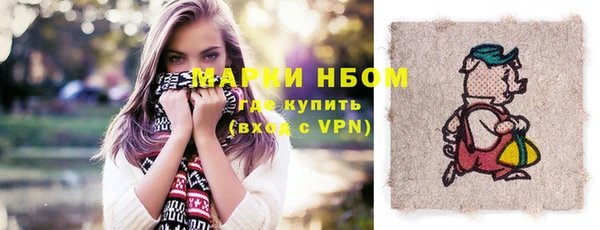 сатива Ельня