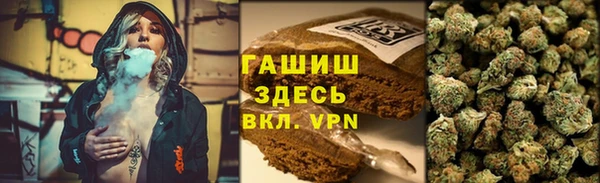 сатива Ельня