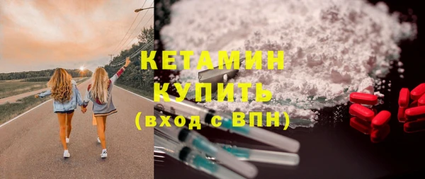 сатива Ельня