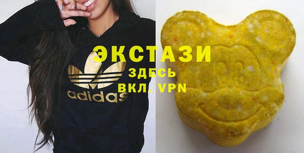 сатива Ельня