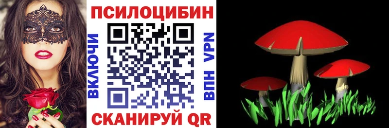 blacksprut ссылки  Карачев  Псилоцибиновые грибы Magic Shrooms  дарнет шоп 